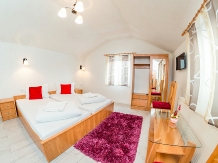 Pensiunea Sanda - accommodation in  Transylvania (03)