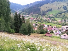 Casa Ileana - alloggio in  Bucovina (09)