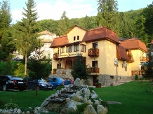 Pensiunea Speranta - accommodation in  Sovata - Praid (09)