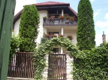 Pensiunea Csaki - accommodation in  Sovata - Praid (01)