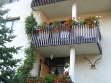 Pensiunea Csaki - accommodation in  Sovata - Praid (11)