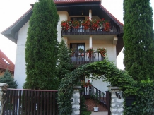 Pensiunea Csaki - accommodation in  Sovata - Praid (12)