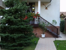 Pensiunea Csaki - accommodation in  Sovata - Praid (13)