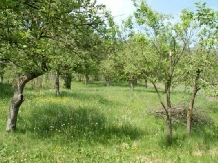 Casa De Pe Deal - cazare Sighisoara (04)