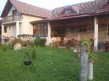 Pensiunea Daiadela - accommodation in  Crisana (01)