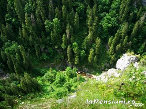 Pensiunea Daiadela - accommodation in  Crisana (Surrounding)