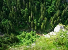 Pensiunea Maria - cazare Apuseni (15)