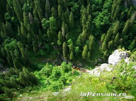Pensiunea Maria - cazare Apuseni (Activitati si imprejurimi) Pensiunea Maria - cazare Apuseni (Activitati si imprejurimi)