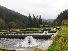 Pensiunea Arin - alloggio in  Bucovina (02)