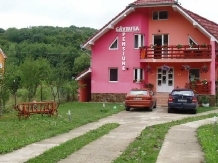 Pensiunea Gavruta - accommodation in  Baile Felix (15)