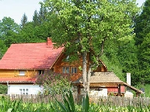 Pensiunea Poiana de Vis - alloggio in  Bucovina (07)