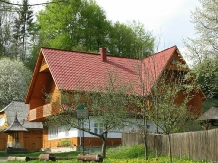 Pensiunea Poiana de Vis - alloggio in  Bucovina (10)