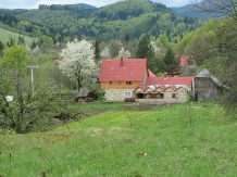 Pensiunea Poiana de Vis - alloggio in  Bucovina (11)