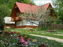 Pensiunea Poiana de Vis - accommodation in  Bucovina (14)