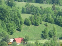 Pensiunea Poiana de Vis - accommodation in  Bucovina (16)