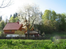 Pensiunea Poiana de Vis - alloggio in  Bucovina (19)
