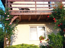 Casa Eco - alloggio in  Baile Felix (02)