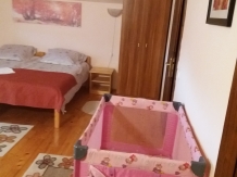 Casa Eco - accommodation in  Baile Felix (46)