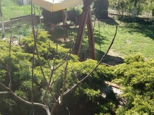 Casa Eco - alloggio in  Baile Felix (55)