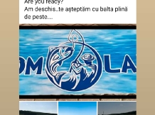 Casa Eco - alloggio in  Baile Felix (82)