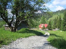 Pensiunea Mos Craciun - accommodation in  Vatra Dornei, Bucovina (11)