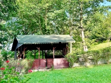 Vila Miandra - cazare Valea Prahovei (16)