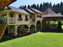 Pensiunea Casa Elvira - accommodation in  Gura Humorului, Bucovina (08)