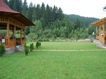 Pensiunea Casa Elvira - accommodation in  Gura Humorului, Bucovina (14)