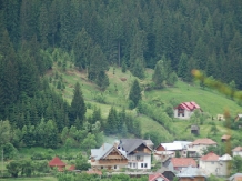 Pensiunea Casa Elvira - accommodation in  Gura Humorului, Bucovina (16)