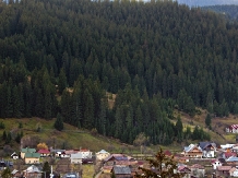 Pensiunea Casa Elvira - alloggio in  Gura Humorului, Bucovina (19)