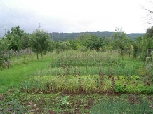 Pensiunea Randunica - alloggio in  Valle di Prahova (05)