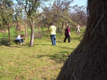 Pensiunea Randunica - alloggio in  Valle di Prahova (12)