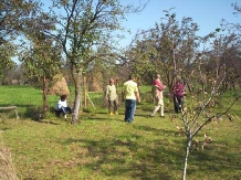 Pensiunea Randunica - alloggio in  Valle di Prahova (13)