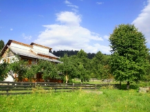 Cabana Bradze - accommodation in  Gura Humorului, Bucovina (02)