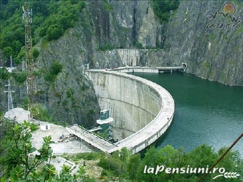 Pensiunea Martin - cazare Fagaras, Transfagarasan (Activitati si imprejurimi)