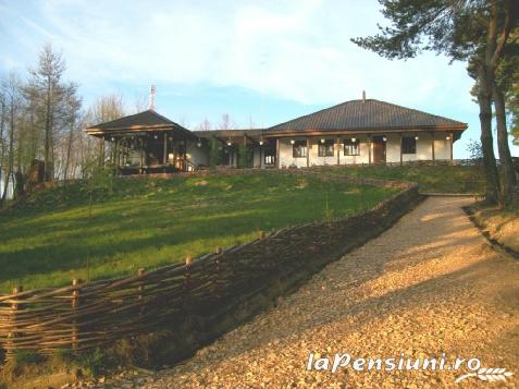 Pensiunea Haiducul - accommodation in  Fagaras and nearby (Surrounding)
