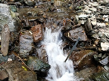 Casa Vancea - cazare Bucovina (07)