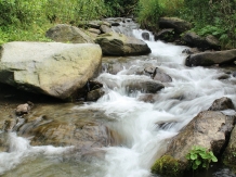 Cabana Poienita - cazare Fagaras, Sambata (10)