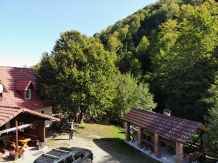 Cabana Poienita - accommodation in  Fagaras and nearby, Sambata (20)