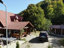 Cabana Poienita - cazare Fagaras, Sambata (32)