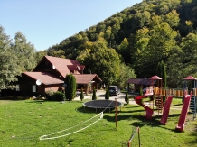 Cabana Poienita - accommodation in  Fagaras and nearby, Sambata (33)