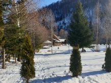 Cabana Poienita - accommodation in  Fagaras and nearby, Sambata (40)