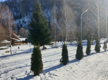 Cabana Poienita - accommodation in  Fagaras and nearby, Sambata (41)