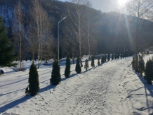 Cabana Poienita - alloggio in  Fagaras e vicinanze, Sambata (42)