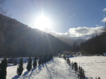 Cabana Poienita - cazare Fagaras, Sambata (43)