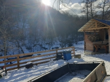 Cabana Poienita - alloggio in  Fagaras e vicinanze, Sambata (56)