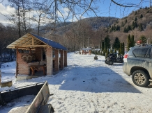 Cabana Poienita - alloggio in  Fagaras e vicinanze, Sambata (57)