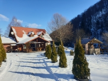 Cabana Poienita - accommodation in  Fagaras and nearby, Sambata (66)