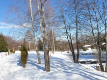 Cabana Poienita - cazare Fagaras, Sambata (70)