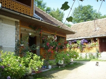 Pensiunea Moara cu Noroc - accommodation in  Fagaras and nearby (01)